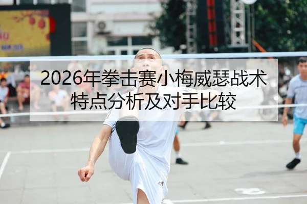 2026年拳击赛小梅威瑟战术特点分析及对手比较