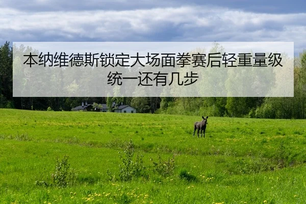 本纳维德斯锁定大场面拳赛后轻重量级统一还有几步