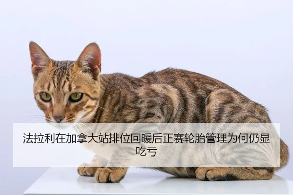 fa-la-li-zai-jia-na-da-zhan-pai-wei-hui-nuan-hou-zheng-sai-lun-tai-guan-li-wei-he-reng-xian-chi-kui-2-187.jpg