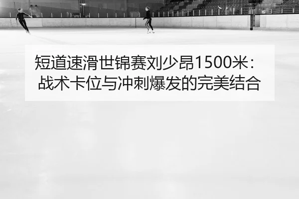 duan-dao-su-hua-shi-jin-sai-liu-shao-ang-mi-zhan-shu-ka-wei-yu-chong-ci-bao-fa-de-wan-mei-jie-he-2-447.jpg