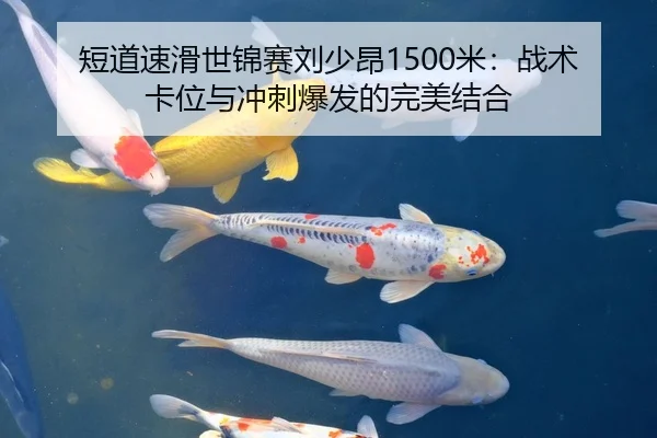 短道速滑世锦赛刘少昂1500米：战术卡位与冲刺爆发的完美结合