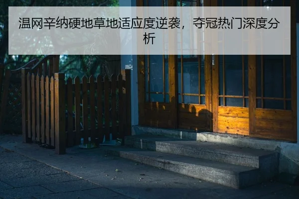 wen-wang-xin-na-ying-di-cao-di-shi-ying-du-ni-xi-duo-guan-re-men-shen-du-fen-xi-2-647.jpg