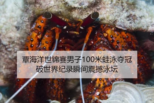 覃海洋世锦赛男子100米蛙泳夺冠 破世界纪录瞬间震撼泳坛